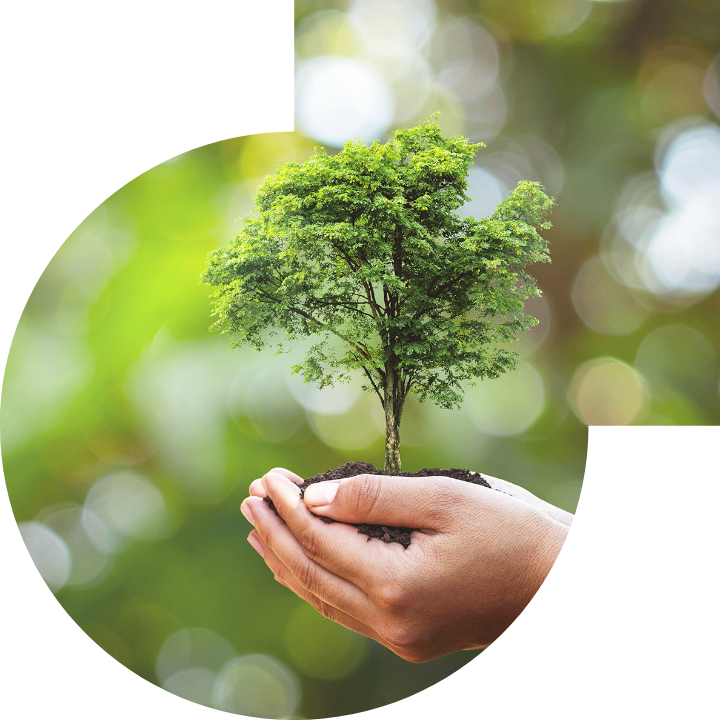 关怀人类、文化、环境与社会